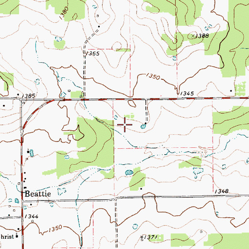 Topographic Map of Welch Lake Dam, TX