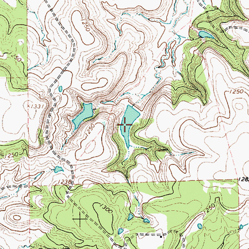 Topographic Map of Thurber Lake Number 5, TX