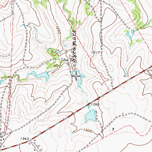 Topographic Map of Pass Lake, TX