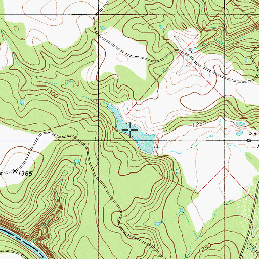 Topographic Map of Wilcox Lake, TX