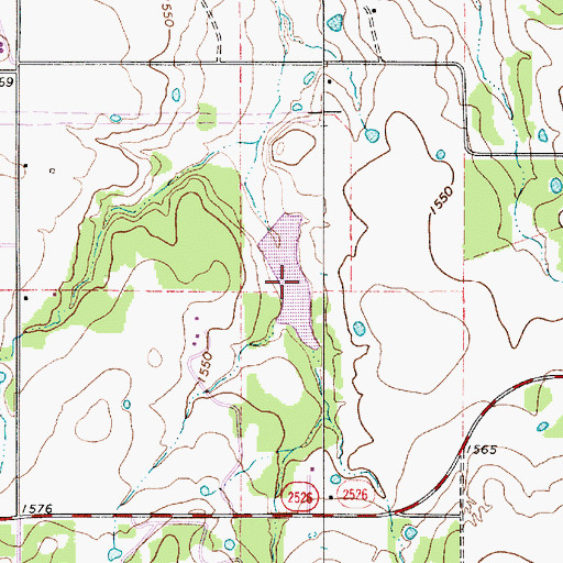 Topographic Map of Griffin Lake, TX