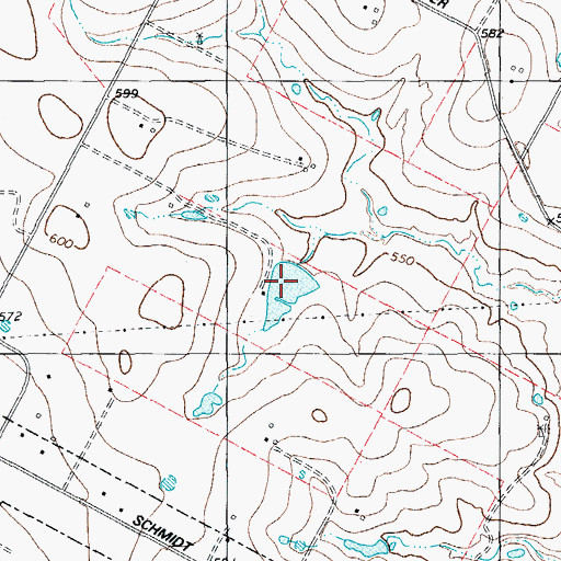 Topographic Map of Cavness Lake, TX
