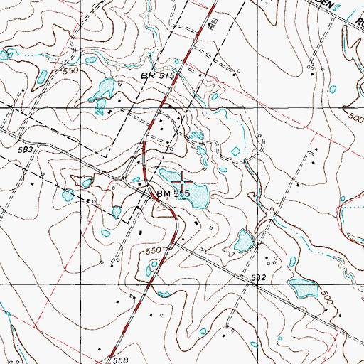 Topographic Map of Raesz Lake, TX