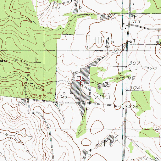 Topographic Map of Bagley Lake, TX
