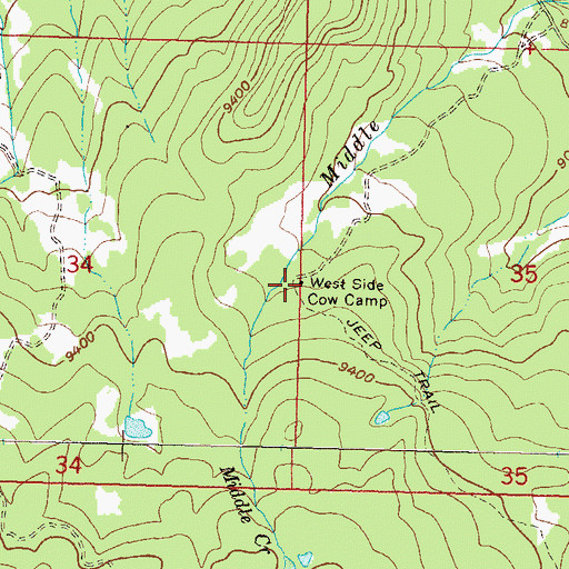 Topographic Map of West Side Cow Camp, CO
