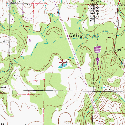 Topographic Map of Justiss Farms Lake, TX