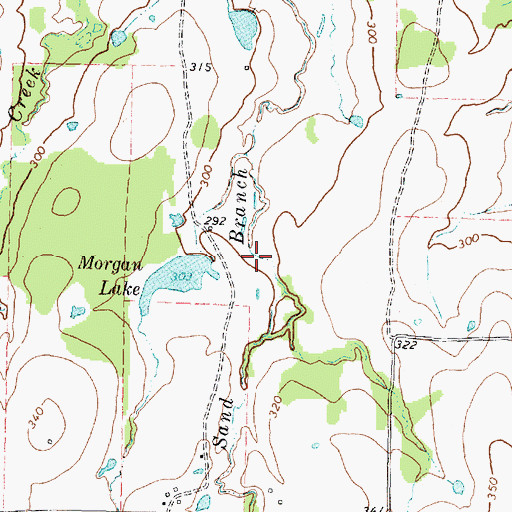 Topographic Map of Morgan South Lake Dam, TX