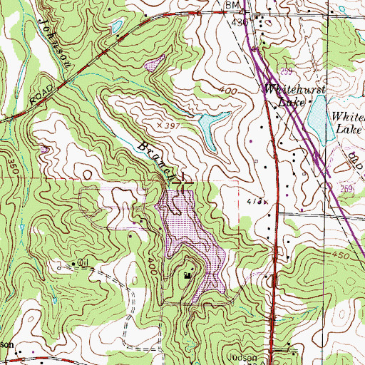 Topographic Map of Forest Lake Dam, TX