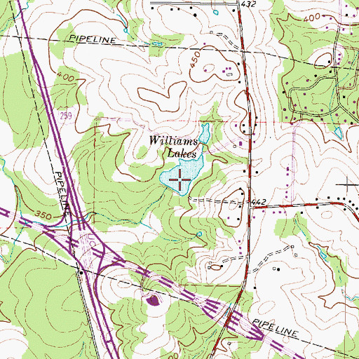 Topographic Map of Williams Lake Dam, TX