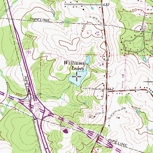 Topographic Map of Williams Lake, TX