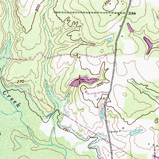 Topographic Map of Ashford Lake, TX