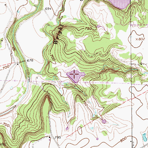 Topographic Map of Walsh Lake, TX