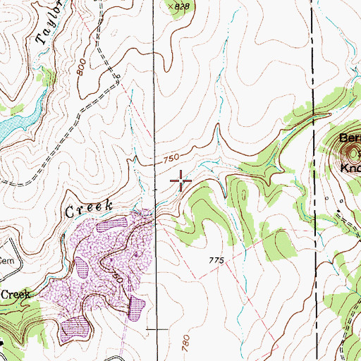 Topographic Map of McCann Lake, TX