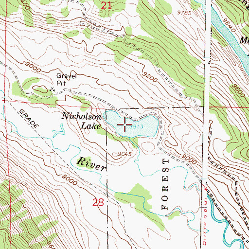 Topographic Map of Nicholson Lake, CO
