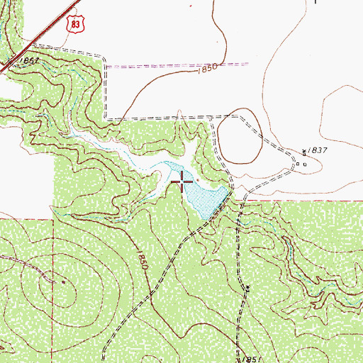 Topographic Map of Richards Lake, TX