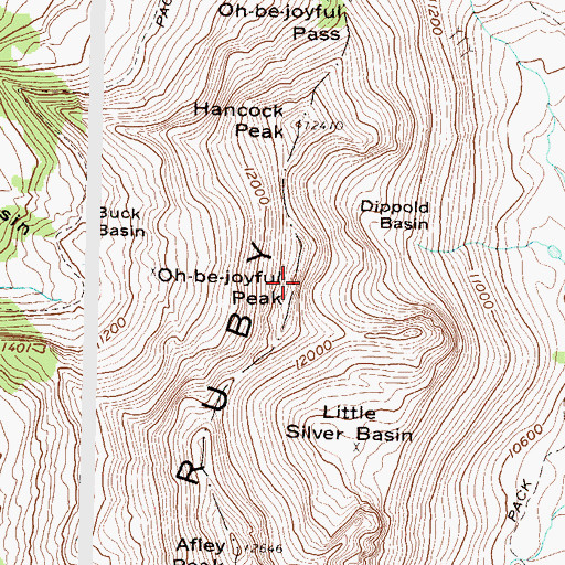 Topographic Map of Oh-be-joyful Peak, CO