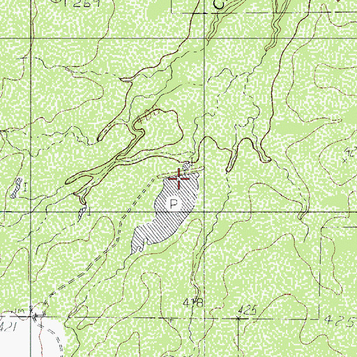 Topographic Map of Salines Lake, TX