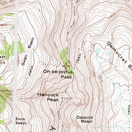 Topographic Map of Oh-be-joyful Pass, CO