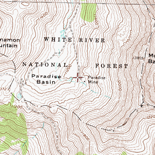 Topographic Map of Paradise Mine, CO