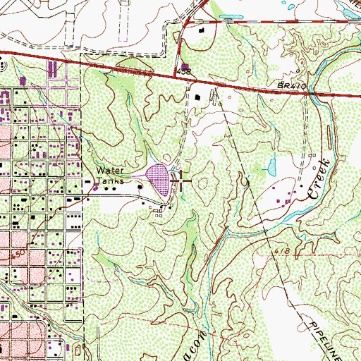 Topographic Map of Paul Young Ranch Lake, TX