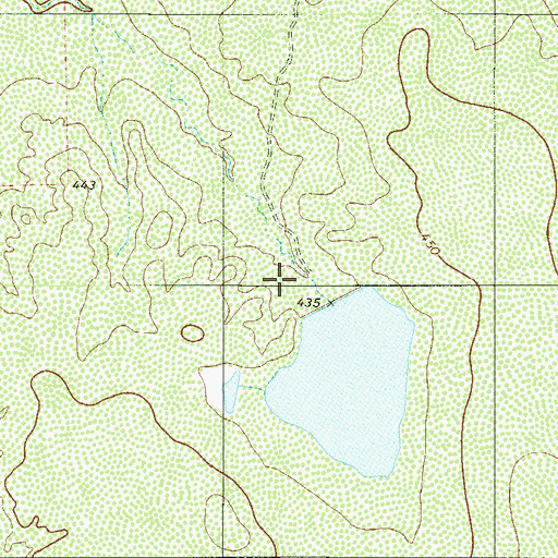 Topographic Map of Nicholson Ranch Lake Number 2 Dam, TX