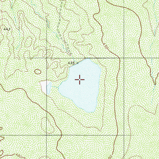 Topographic Map of Nicholson Ranch Lake Number 2, TX