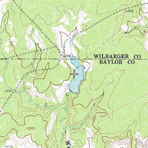 Topographic Map of Waggoner Lake Number 4, TX