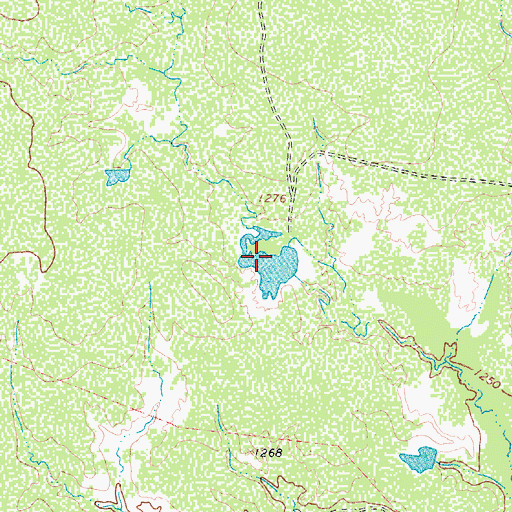 Topographic Map of Waggoner Ranch Lake Number 8, TX