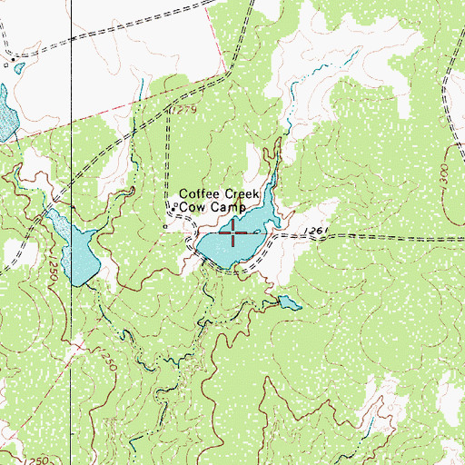 Topographic Map of Coffee Creek Cow Camp Lake, TX