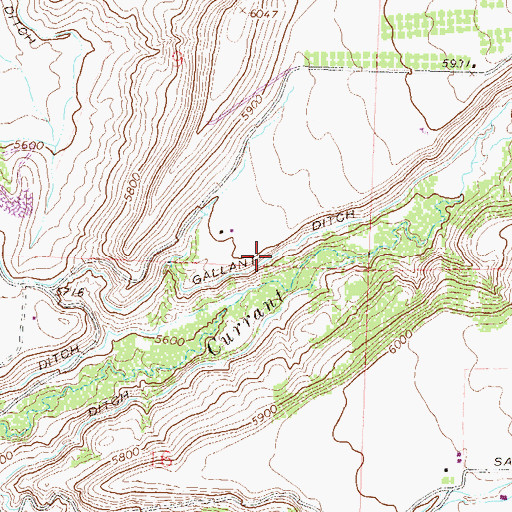 Topographic Map of Gallant Ditch, CO