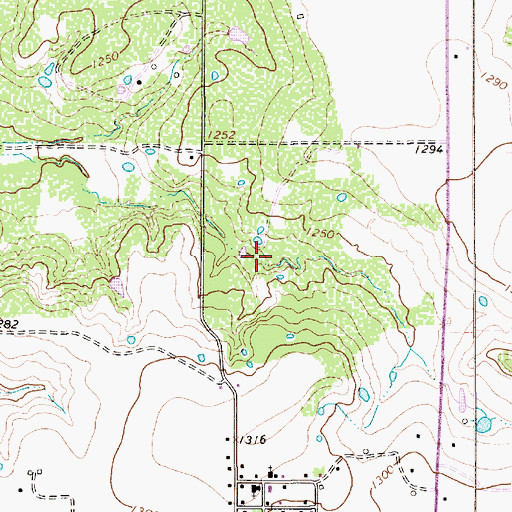 Topographic Map of Newman Lake, TX