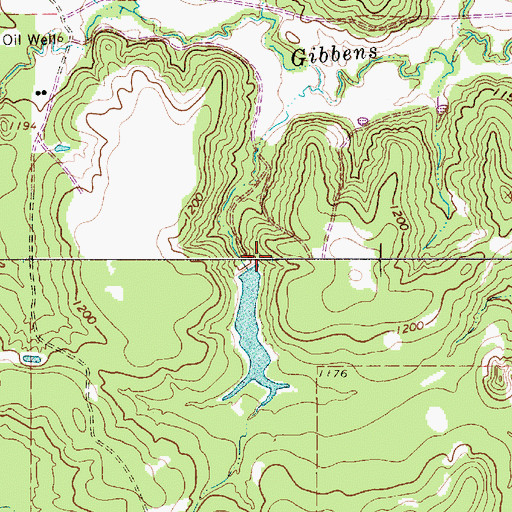 Topographic Map of Woodward Lake Dam, TX