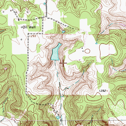 Topographic Map of Rhodes Lake Dam, TX