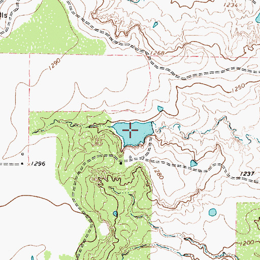 Topographic Map of Furr Lake, TX