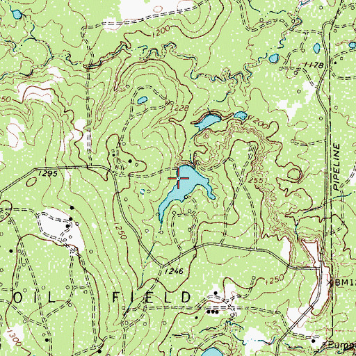 Topographic Map of Powell Lake Dam, TX