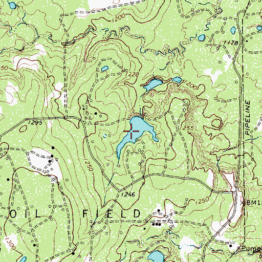 Topographic Map of Powell Lake, TX