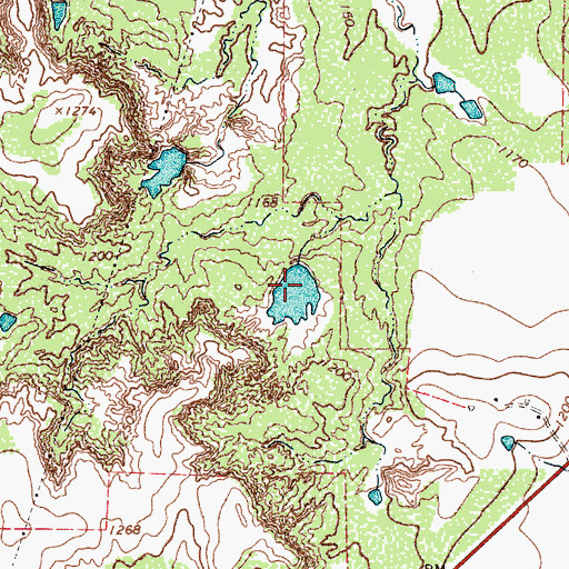 Topographic Map of Conner Lake, TX