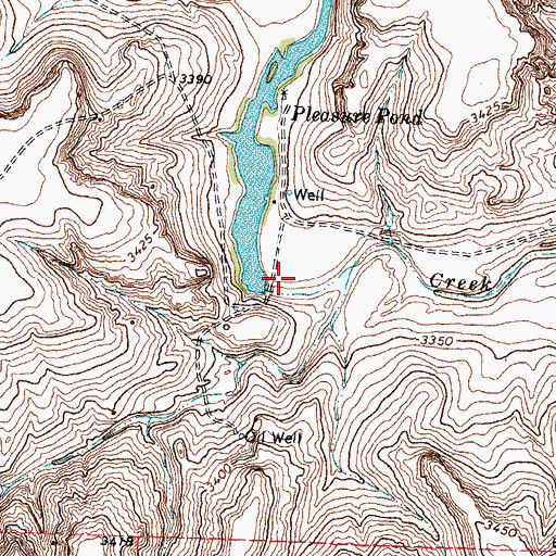 Topographic Map of Pleasure Pond Dam, TX