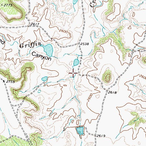 Topographic Map of Parks Lake, TX