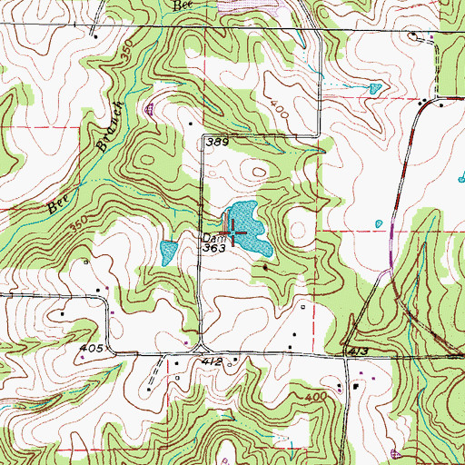 Topographic Map of Reynolds Lake Dam, TX
