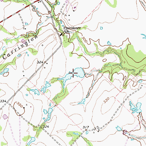 Topographic Map of Palmer Lake, TX