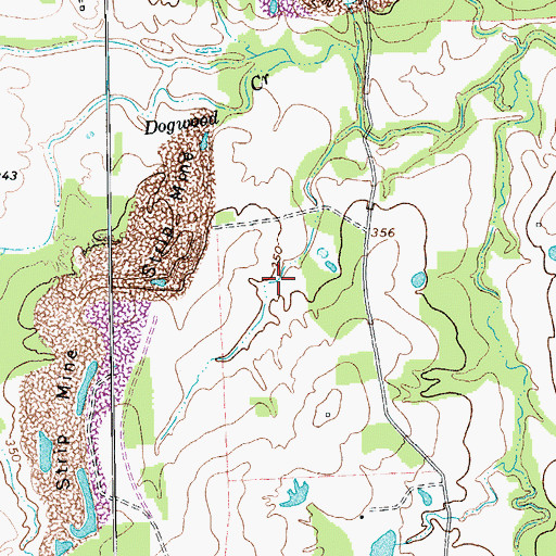 Topographic Map of Steinhauser Lake Dam, TX