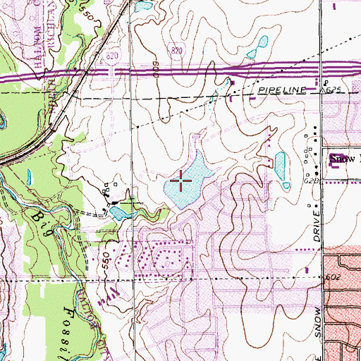 Topographic Map of Meadows Lakes East Lake, TX
