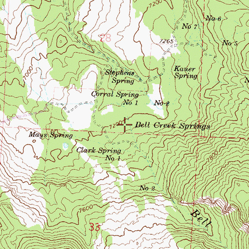 Topographic Map of Bell Creek Springs, CO