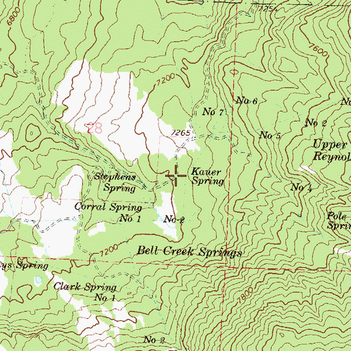 Topographic Map of Kauer Spring, CO