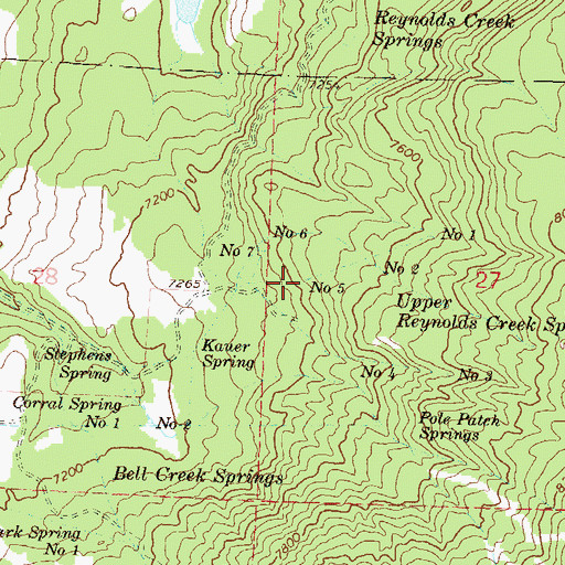 Topographic Map of Upper Reynolds Creek Spring Number 5, CO