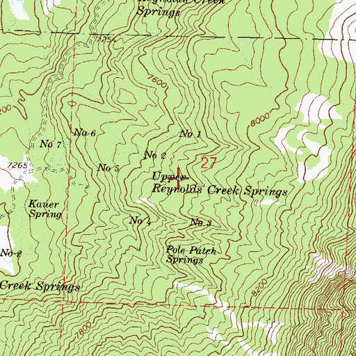 Topographic Map of Upper Reynolds Creek Springs, CO
