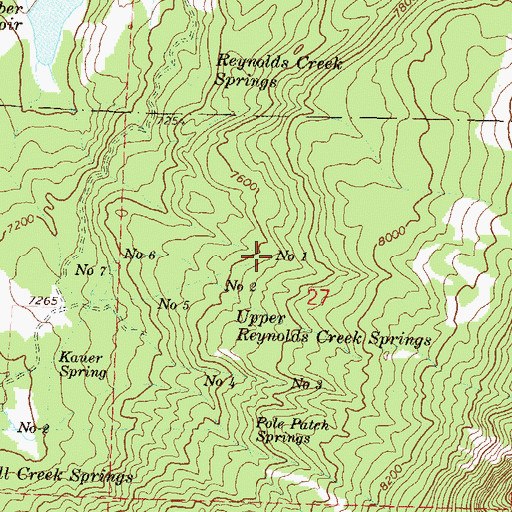 Topographic Map of Upper Reynolds Creek Spring Number 1, CO