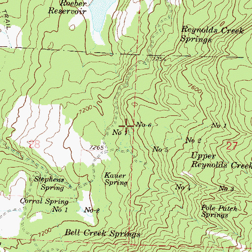 Topographic Map of Upper Reynolds Creek Spring Number 6, CO