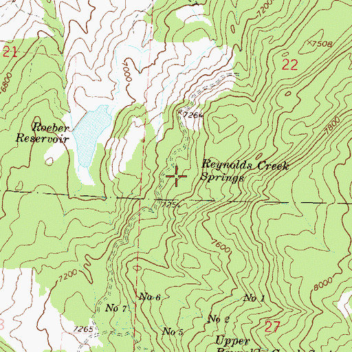 Topographic Map of Reynolds Creek Springs, CO